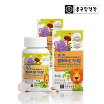 비타민마을 종근당건강 키즈 멀티비타민 앤 미네랄 어린이비타민 2병 4개월분, 선택완료, 단품없음