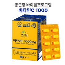 항산화 피로회복 비타민 영양제 종근당 고함량 비타민C 고용량 1000mg 100정 바이타민 바이탈프로그램, 1개