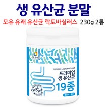 모유 유산균 락토바실러스 가세리 분말 생유산균 키즈유산균 프로바이오틱스 루테리 모유유래유산균 어른 성인 남성 여성 냉장보관 X, 2통, 230g