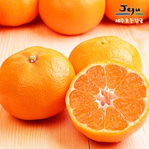 [보섭이네푸드]가락시장 직송 제주효돈감귤 5kg(60∼79입내 S)