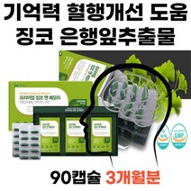 부모님 면역력 기억력개선 도움 은행잎추출물 아연 기억력 혈행개선 항산화 머리 뇌세포 40대50대60대70대 뇌운동 건강기능식품 운지버섯 대두레시틴 마늘추출분말 비타민C B1