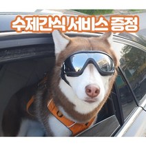 싸게 구매할 수 있는 강아지도글라스 판매순위 1위