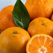 영화청과 특급 제주도귤 2kg 청 만들기 하우스 노지, 클로바트레이딩 쿠팡 1, 클로바트레이딩 쿠팡 본상품선택