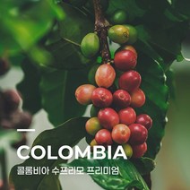 [생두] 콜롬비아 수프리모 프리미엄 1kg