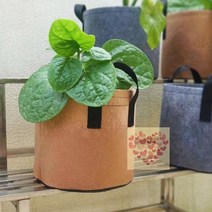 부직포화분 2P 35X30cm 베란다 텃밭 화분 홈 가드닝 블루베리 실내 브라운