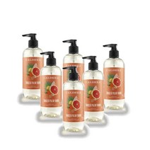 칼드레아 핸드워시 손세정제 핸드솝 액체비누 탄젤로 팜 프론드 10.8oz 320ml CALDREA Hand Soap Tangelo Palm Frond, 6개