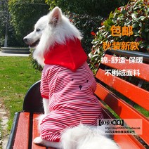 애완용강아지옷 미드 개 가을 사모브라도 겨울 거귀함 대형 보더 콜리 애완동물 펫 푸들 타입 골드 복장 1849512812, 제시 슬림 옷 아니 좋아요, 레드 기모