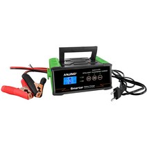 리튬 접이식 펫바이크 전동 출퇴근용 400W 25A Car Battery Charger 12V 24V Automatic Smart for Lead-aci, 04 AU PLUG, 한개옵션1