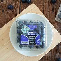 과일예찬 고당도 칠레 생 블루베리 125gx4팩(500g/16mm내외), 상세 설명 참조