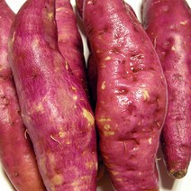 23년 첫수확 팍팍한 햇밤고구마 옵션중량 후회없는선택, 햇밤고구마3kg(중/100g전후)