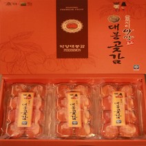 하동 악양 대봉 반건시 건시 곶감 설날 선물세트, 대봉 반건시 곶감 8구*2팩 선물세트