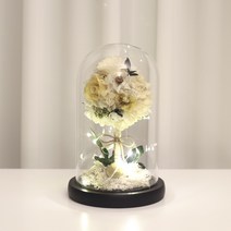 LED 프리저브드 유리돔 꽃다발 수국 장미 기념일 100일 여자친구 꽃 선물 병문안, 2. 제가 직접 쓸께요. 카드만 보내주세요., 다크레드