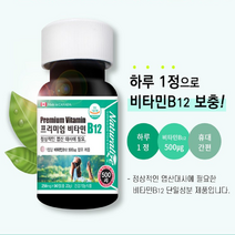 비타민b12 90정 3개월분 쉬운 목넘김 엽산대사