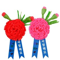(HOL)플레이콘 카네이션브로치만들기