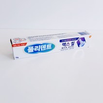 폴리덴트 맥스씰 고정력강화 틀니접착제 의치부착재 70g, 1개