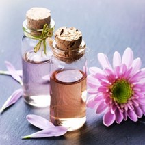 프래그런스 오일 베스트 100ml 모음, 26.코튼블러썸