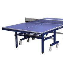 유럽 선진탁구형 상판 참피온 탁구대 BP PRO-9S