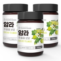 순수 100 % 무첨가 암라 추출물 분말 인디안 구스 베리 가루 비타민c 인도 과일 인디언 배리 Amla Extract Powder 산 쥬스 쉐이크 주스 재료 먹는 법 방법, 3개, 120 g