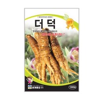 세계종묘 더덕씨앗 1000립