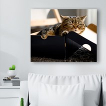 귀여운 고양이 사진 캔버스액자 (고객님 야옹이 사진으로도 제작 가능합니다), CAT12