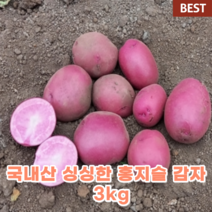 국산 제주 홍지슬 감자 3kg 자주 빨간 분홍 홍 색 좋은 포슬 햇 감자 프리미엄 제주도 농산물 제철 건강 음식