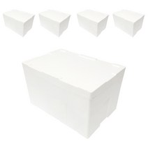 제이제이컴퍼니 바지락 20kg 스티로폼박스 5개입, 바지락20k(5개)