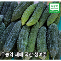 [국내산/국산] 햇 생여주 아삭아삭한 여주 1kg 5kg 산지직송 생 햇여주 당일수확 고야 비터메론 유기농 쓴오이 못난이 오이 못난이오이 건여주 건조여주, 생여주 1kg, 1개