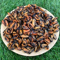 신건호멸치 국산 햇 건홍합 / 밑반찬 조림 국물요리 마른홍합, 1팩, 500g