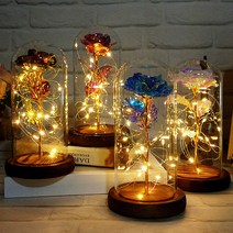 엔템 카네이션 led 드라이플라워 프리저브드 유리돔 꽃 무드등 대형 미니유리돔 만들기 와이어전구 건전지 특이한무드등, 장미(골드)