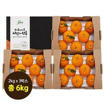 [산지애]제주 햇 한라봉 6kg (2kg x 3박스), 단품