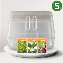 새싹 재배용기 브로콜리 청경채 삼색무순 씨앗 세트, 단품