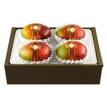 [제주한라농원] 한라산 제주애플망고, 2kg 4수