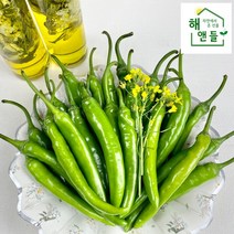 국내산 매운 청양 고추 특품 땡초 300g 500g 1kg, 청양고추 500g