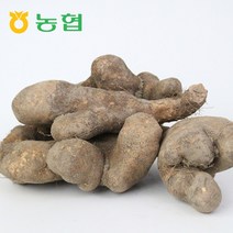 삼촌밥먹자 북안동농협 국산 안동 산마 (중)2kg 3kg 5kg, 산마 (중)3kg