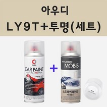 아우디 LY9T 미소스슈바르츠 주문 스프레이 카 페인트 + 모비스 투명마감용스프레이 200ml