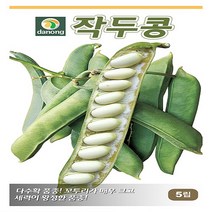 다농원예가든 작두콩 100립