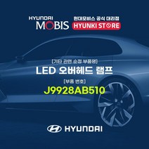 현대모비스 LED 오버헤드 램프 (J9928AB510)