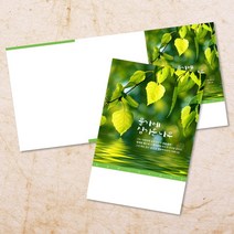 교회 절기 주보 추수감사절 주보용지 3단 6면 주보지 52주 디자인 순서지 안내지 교회용품 기독교용품 주일학교 청년부 전도용품 새교우, EW-17