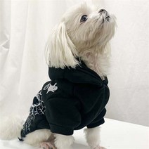 파티생각 펫 할로윈 스컬장식 의상, S/보험가입