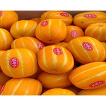 프리미엄 명품 고당도 꿀 참외 경북성주 산지직송 성주용암 참외, 중과 10kg(41~50과)