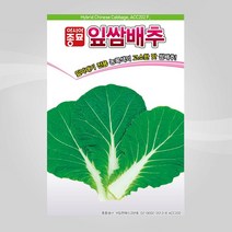 아시아종묘 배추씨앗 아시아 잎쌈배추(500립)