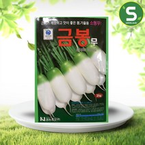 솔림텃밭몰 소형무씨앗 25g 만추대 금봉무 봄 가을용 무씨앗