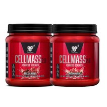 BSN 노익스부스터 셀매스 헬스부스터 크레아틴 495g, 1개, 아틱베리