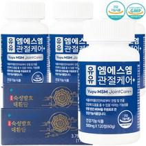 유유헬스케어 엠에스엠 관절케어+ 500mgx120정 4병(총480정)/관절 및 연골건강에 도움