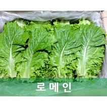야채맘 로메인 상추 4kg 박스