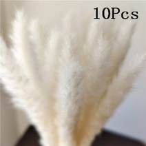 스티커사진기계토끼 꼬리 자연 말린 꽃 팜파스 잔디 뭉치 진짜 꽃다발 사진 소품 플로레스 홈 웨딩 파티 장, [01] A