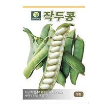 작두콩 30립 작두콩씨 작두콩종자 작두콩씨앗