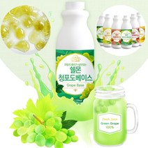 국산 과일 농축액 에이드 만들기 음료 베이스 원액 1kg 13종, 쉘몬과일농축액베이스한라봉1kg