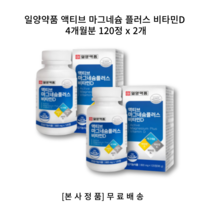 [1+1] 일양약품 액티브 마그네슘 플러스 비타민D 4개월분 120정 비타민B12 비타민B6 비타민B1 비타민B2 건강기능식품 영양제, 120정 x 2박스, 2개