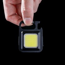 DW52643E 카라 중 열쇠고리 고리 DS 잠금삼각 비너 10 키체인 카라비너